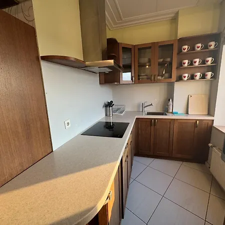 Two Level In The Art Nouveau Area Lejlighed *