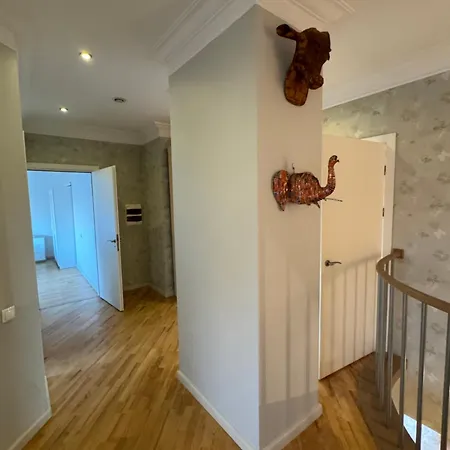 Two Level In The Art Nouveau Area Apartment *